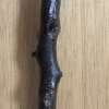Detail of WWI 1917 Silver & Hawthorn Swagger Stick - Dorsetshire Regiment - Birmingham Hallmark - Roberts Restoration Project Image 4